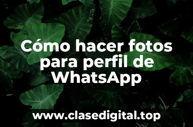 Cómo hacer fotos para perfil de WhatsApp