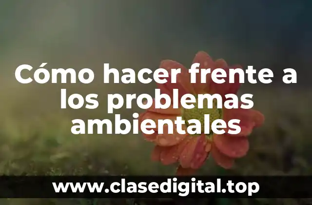 Cómo hacer frente a los problemas ambientales