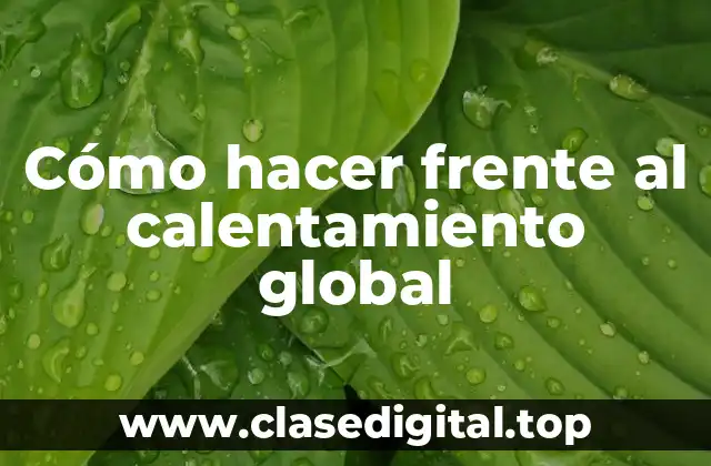 Cómo hacer frente al calentamiento global