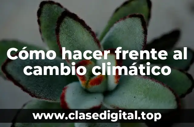 Cómo hacer frente al cambio climático