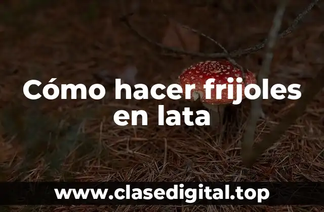 ¿Qué son los frijoles en lata y para qué sirven?