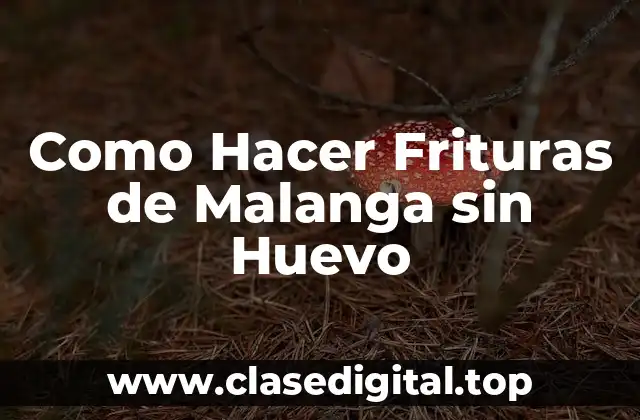Frituras de Malanga sin Huevo: ¿Qué son y para qué sirven?