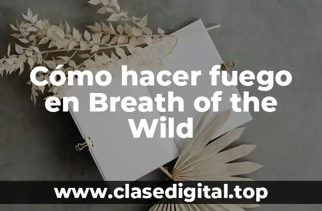 Cómo hacer fuego en Breath of the Wild