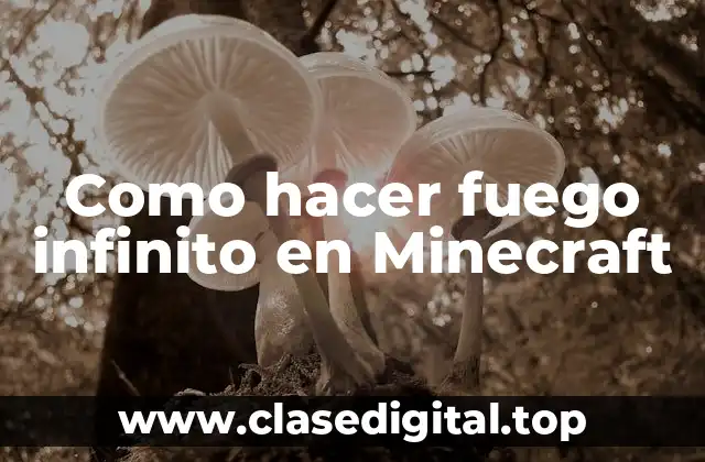 Como hacer fuego infinito en Minecraft