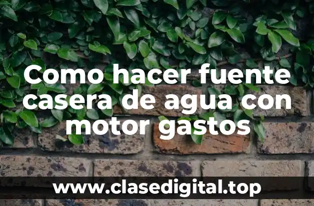 Como hacer fuente casera de agua con motor gastos