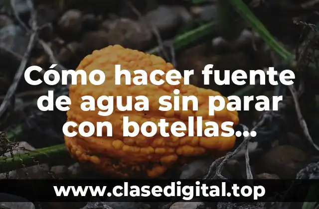 Cómo hacer fuente de agua sin parar con botellas plásticas