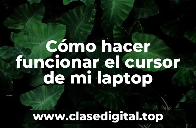 Cómo hacer funcionar el cursor de mi laptop