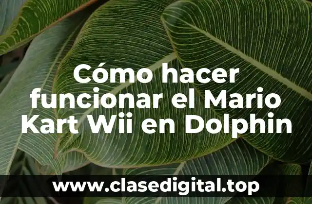 Cómo hacer funcionar el Mario Kart Wii en Dolphin