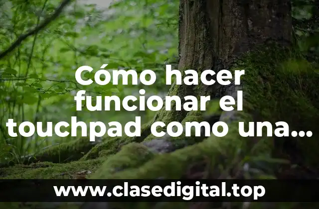 Cómo hacer funcionar el touchpad como una tableta gráfica