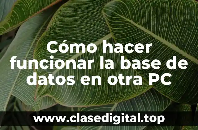 ¿Qué es una base de datos y cómo funciona?