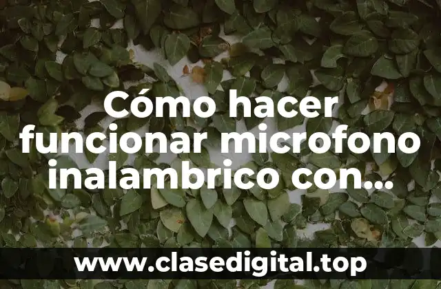 Cómo hacer funcionar microfono inalambrico con parlante master