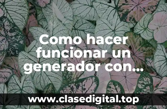 Como hacer funcionar un generador con bateria de auto