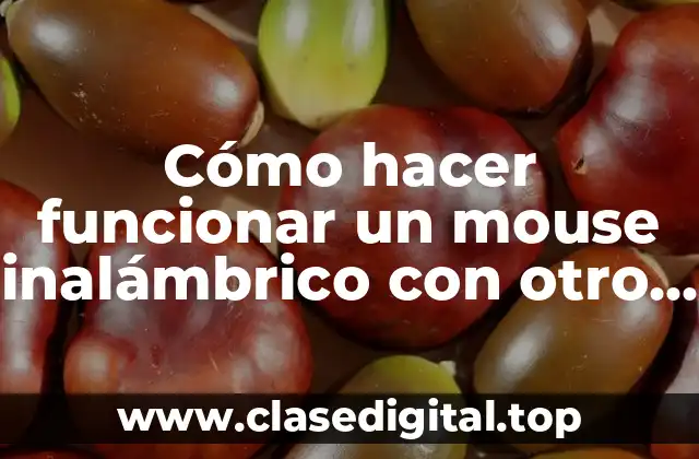 Cómo hacer funcionar un mouse inalámbrico con otro USB
