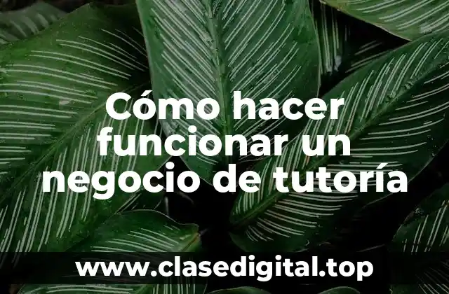 Cómo hacer funcionar un negocio de tutoría