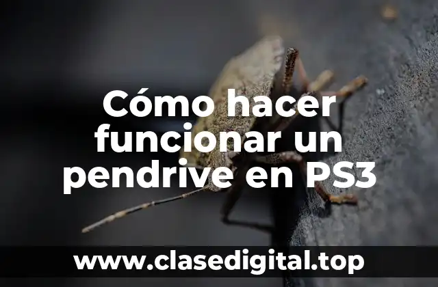 Cómo hacer funcionar un pendrive en PS3