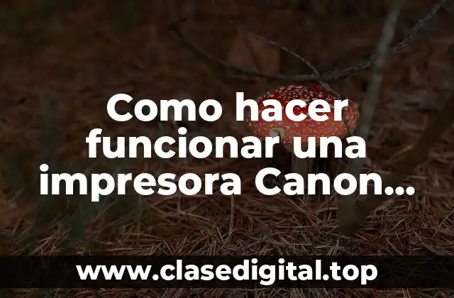 Como hacer funcionar una impresora Canon G2100