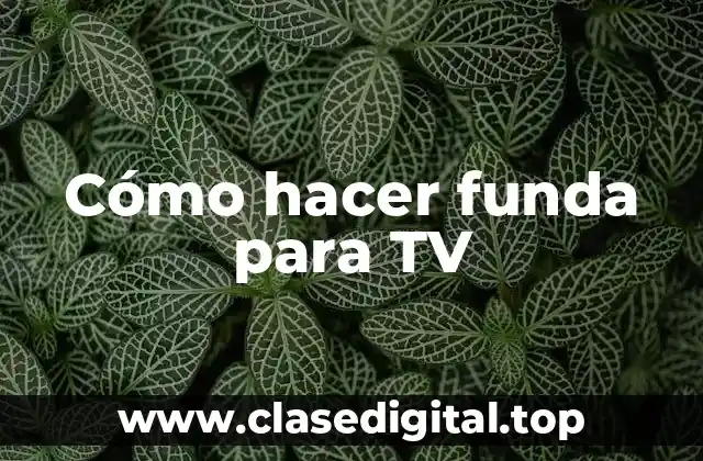Cómo hacer funda para TV