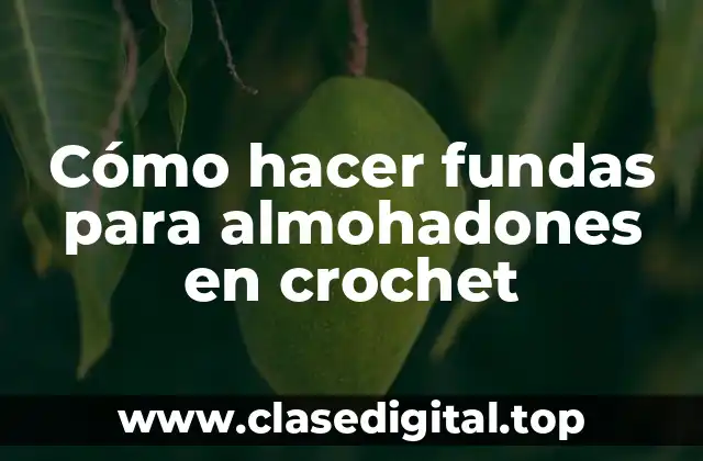 Cómo hacer fundas para almohadones en crochet