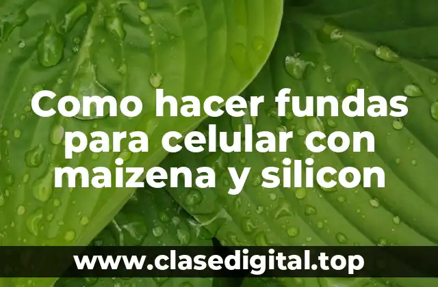 ¿Qué son las fundas para celular con maizena y silicon?