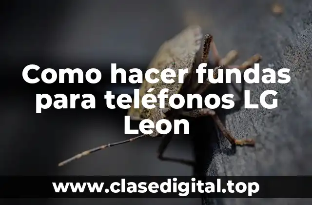 Como hacer fundas para teléfonos LG Leon