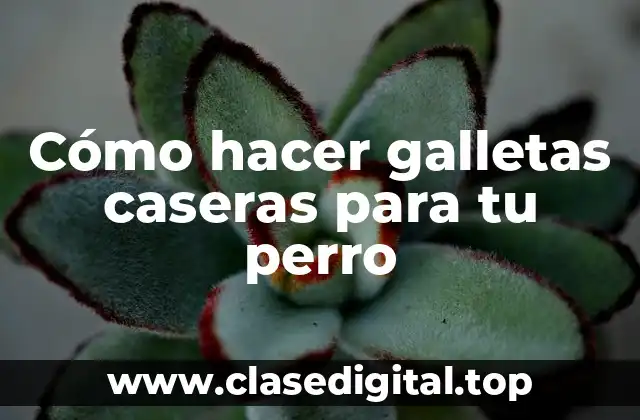 Cómo hacer galletas caseras para tu perro