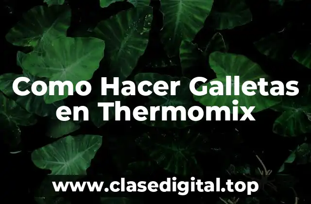 Como Hacer Galletas en Thermomix