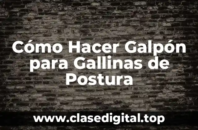 Cómo Hacer Galpón para Gallinas de Postura