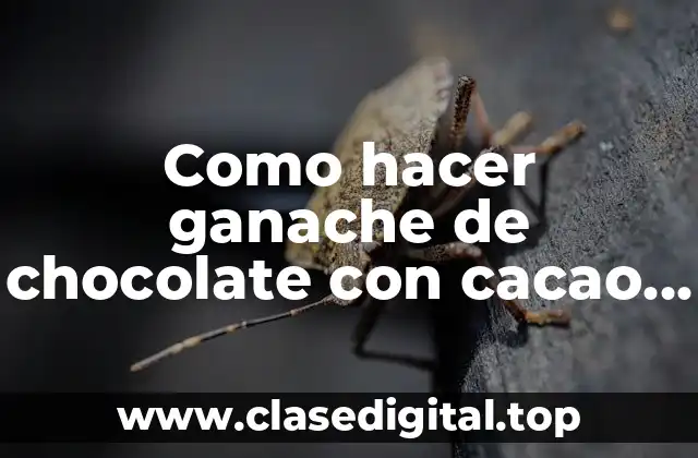 Como hacer ganache de chocolate con cacao en polvo