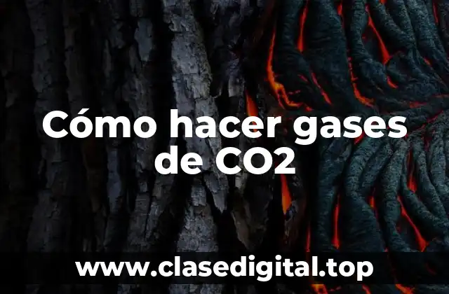 Cómo hacer gases de CO2