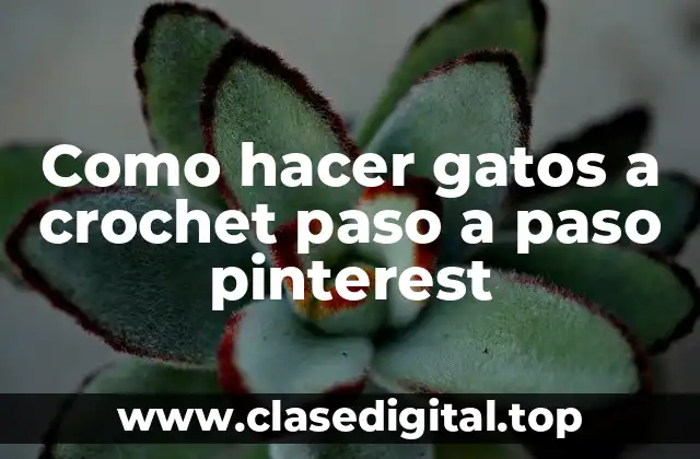 Como hacer gatos a crochet paso a paso pinterest