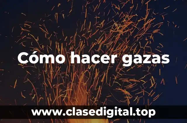 ¿Qué son las gazas?