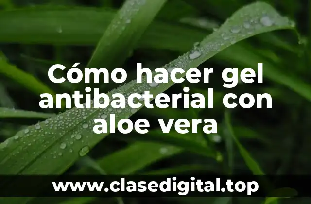 ¿Qué es el gel antibacterial con aloe vera y para qué sirve?