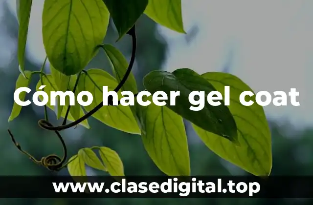 Cómo hacer gel coat
