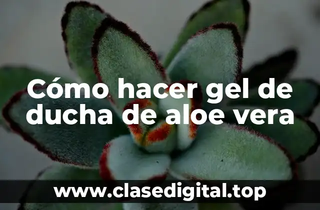 Cómo hacer gel de ducha de aloe vera