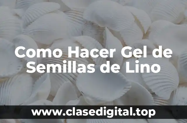 Como Hacer Gel de Semillas de Lino