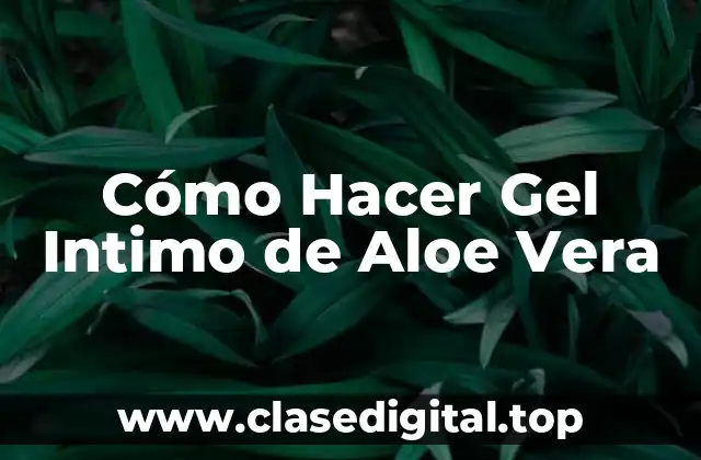 ¿Qué es el Gel Intimo de Aloe Vera?