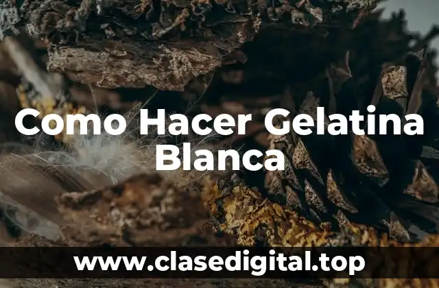 ¿Qué es la Gelatina Blanca?