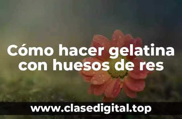 Cómo hacer gelatina con huesos de res