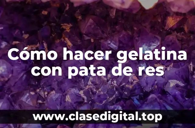 Gelatina con pata de res