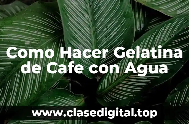 Como Hacer Gelatina de Cafe con Agua