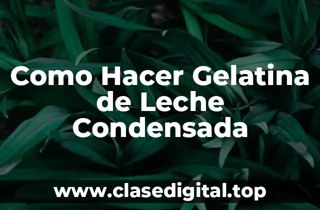 Como Hacer Gelatina de Leche Condensada