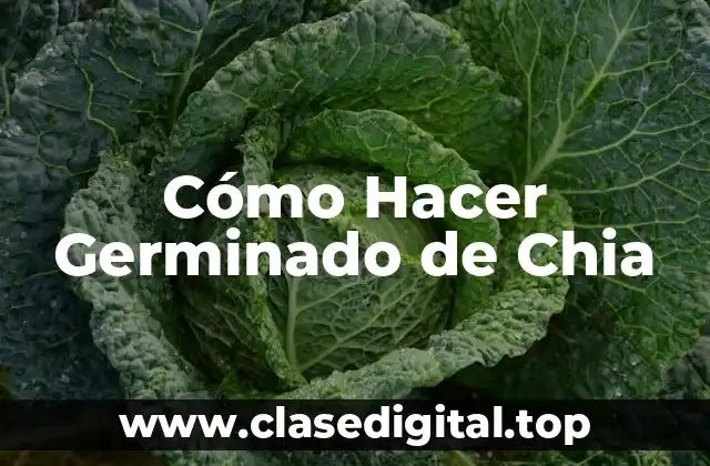 Cómo Hacer Germinado de Chia