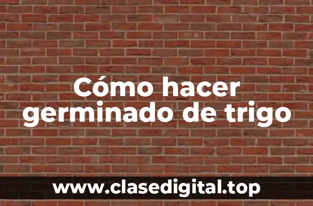 Cómo hacer germinado de trigo