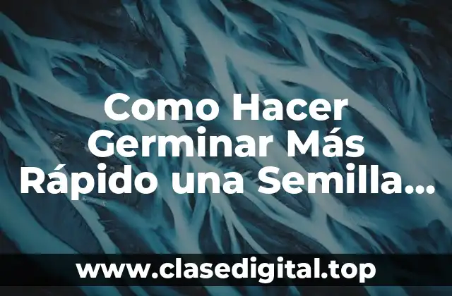 ¿Qué es Germinar una Semilla de Nance y para qué Sirve?