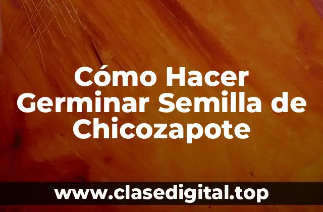 Cómo Hacer Germinar Semilla de Chicozapote