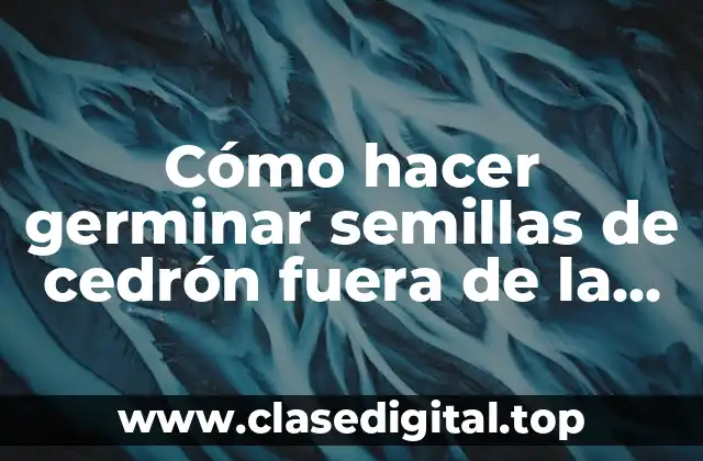 Cómo hacer germinar semillas de cedrón fuera de la tierra