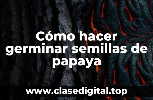 Cómo hacer germinar semillas de papaya