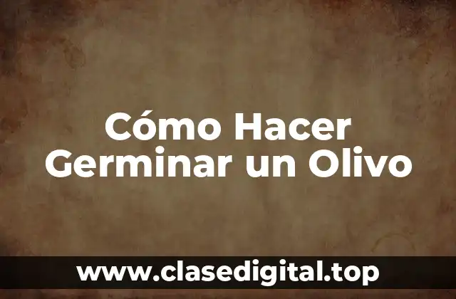 Cómo Hacer Germinar un Olivo
