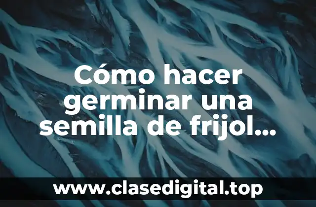 Cómo hacer germinar una semilla de frijol rápido