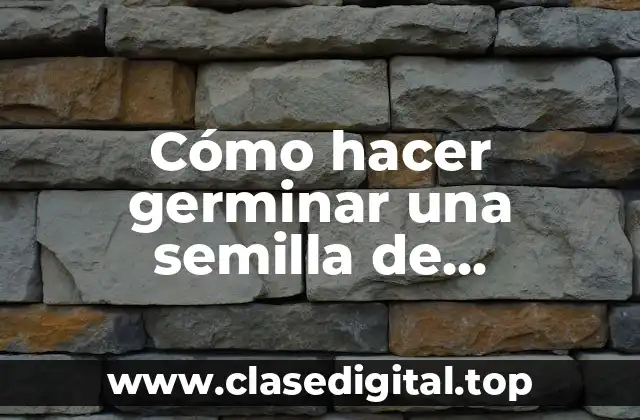 Cómo hacer germinar una semilla de habichuela